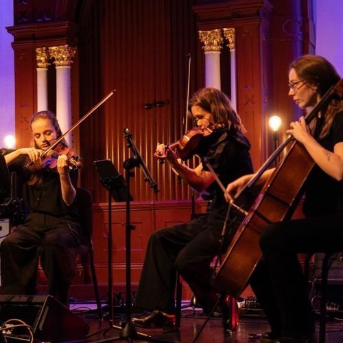 Strijkorkest Trio | Artiest huren bij Swinging.nl